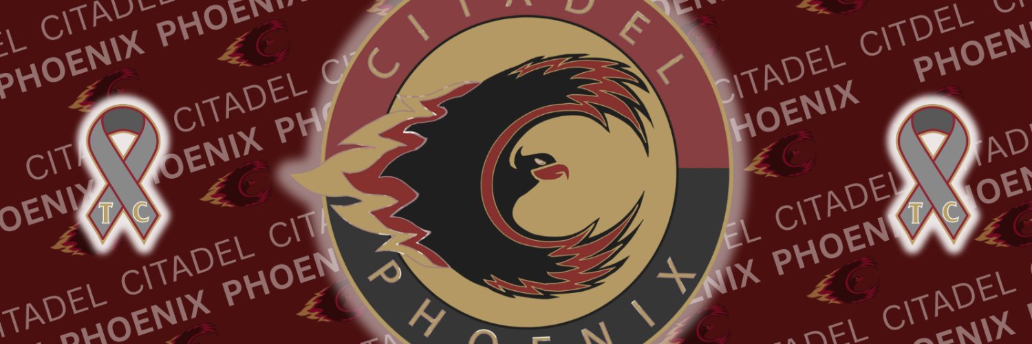 Citadel Boys Hockey banner