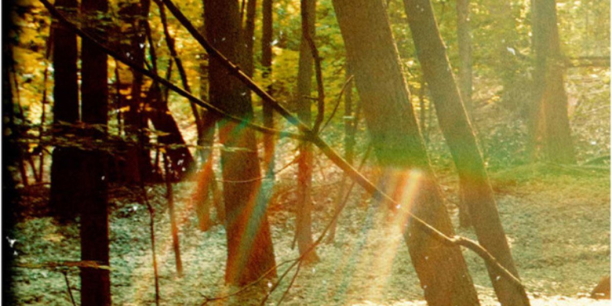 GeorgioD27's profile banner image