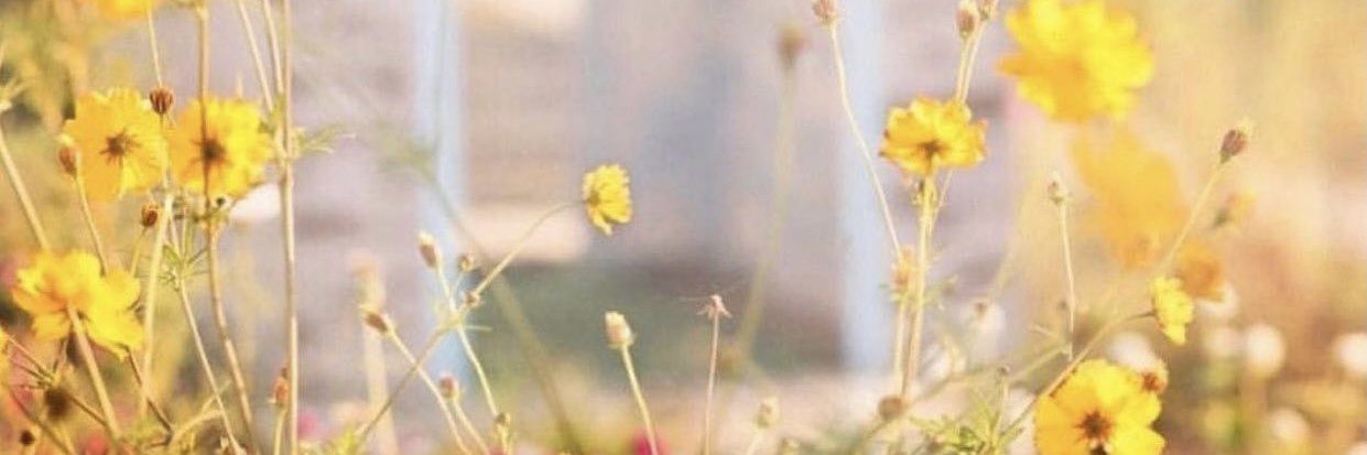 ombasil2021's profile banner image