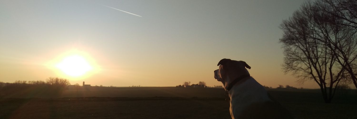 larzeppelin's profile banner image