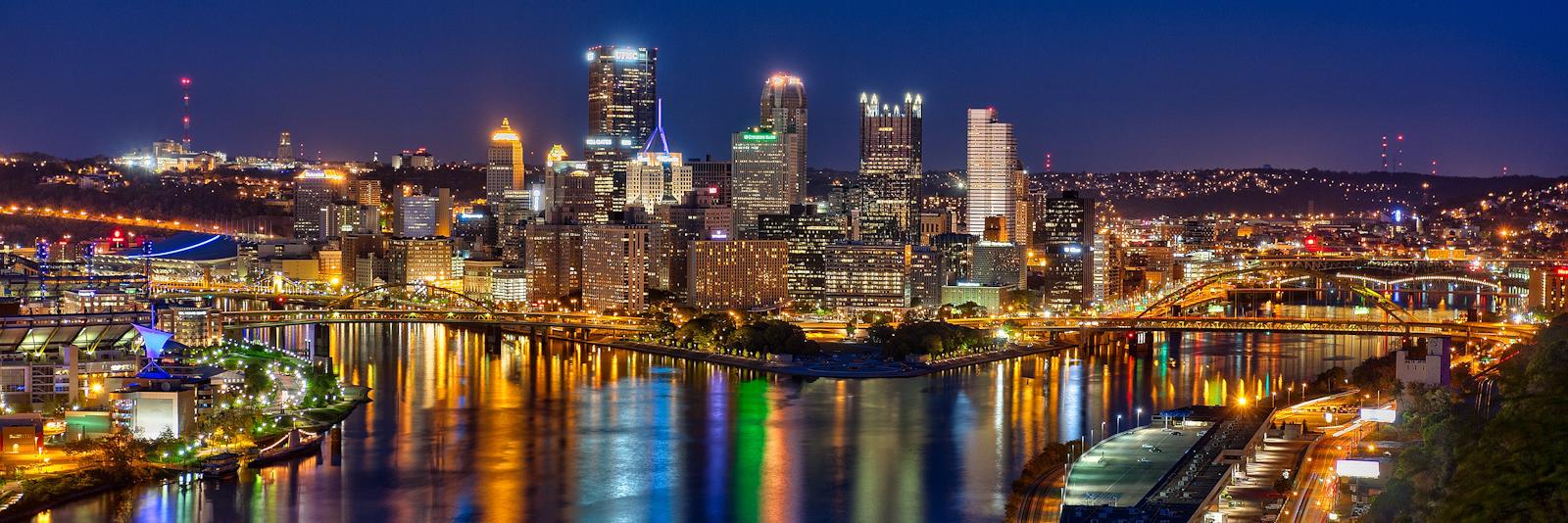 Vegetarian Pitt banner