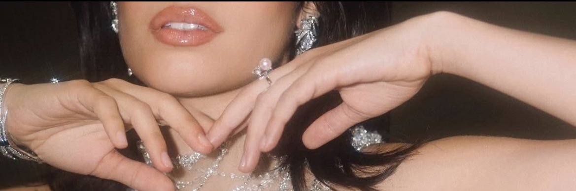 latindetails's profile banner image