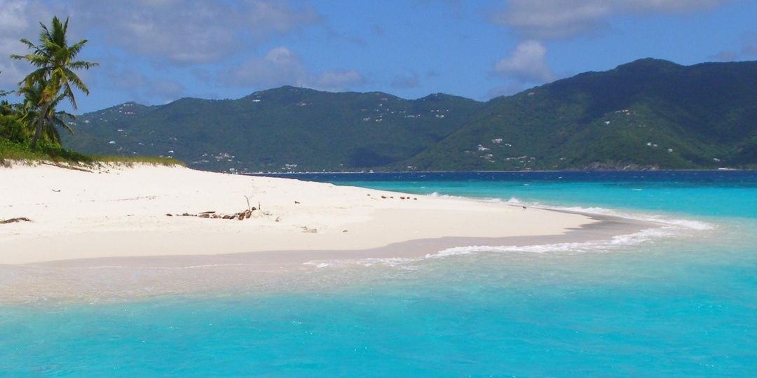 Tracey Berton banner