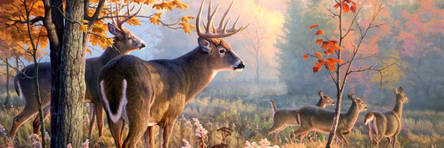 teambuckhunter's profile banner image