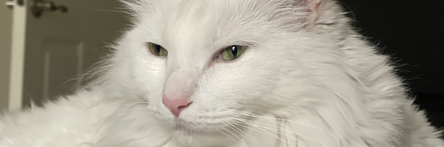 michaelwilland's profile banner image