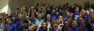 PHS_BLUEZOO's profile banner image
