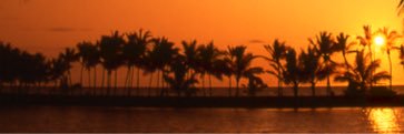 KealaKaa's profile banner image