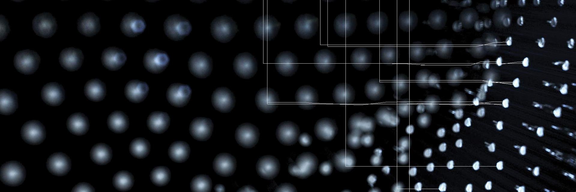 Nuno F. da Cruz banner