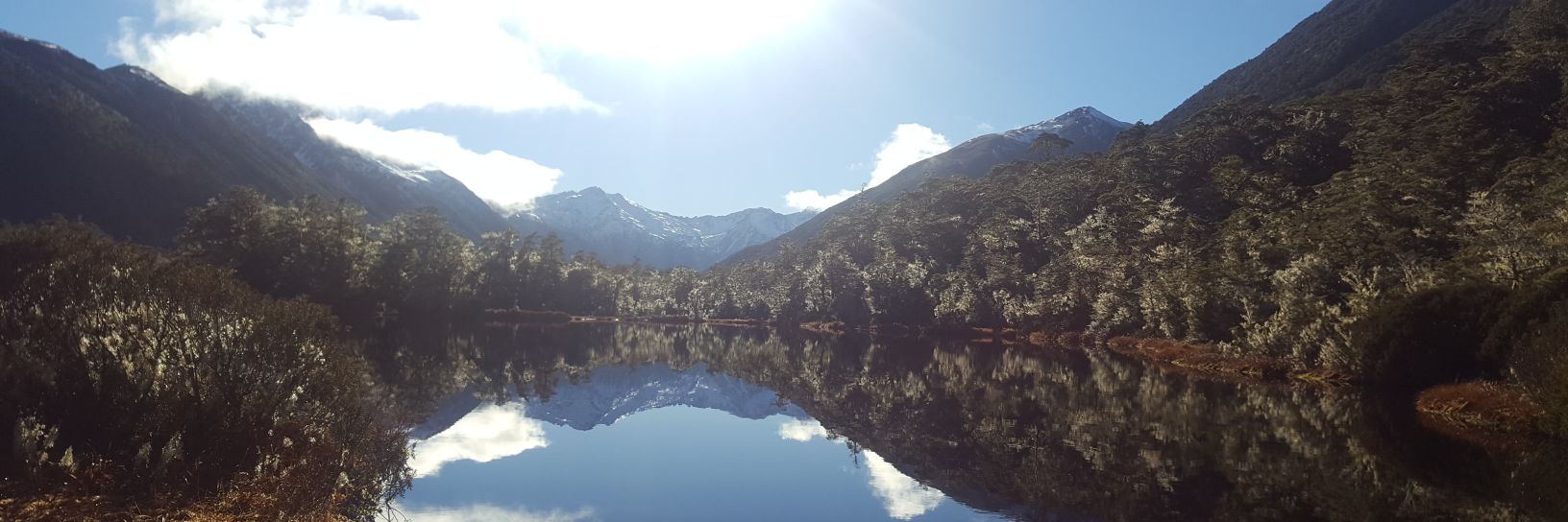 PsychBrief / Patrick Langford banner