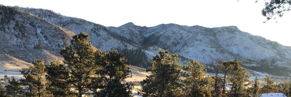 v3rtig0 Profile Banner