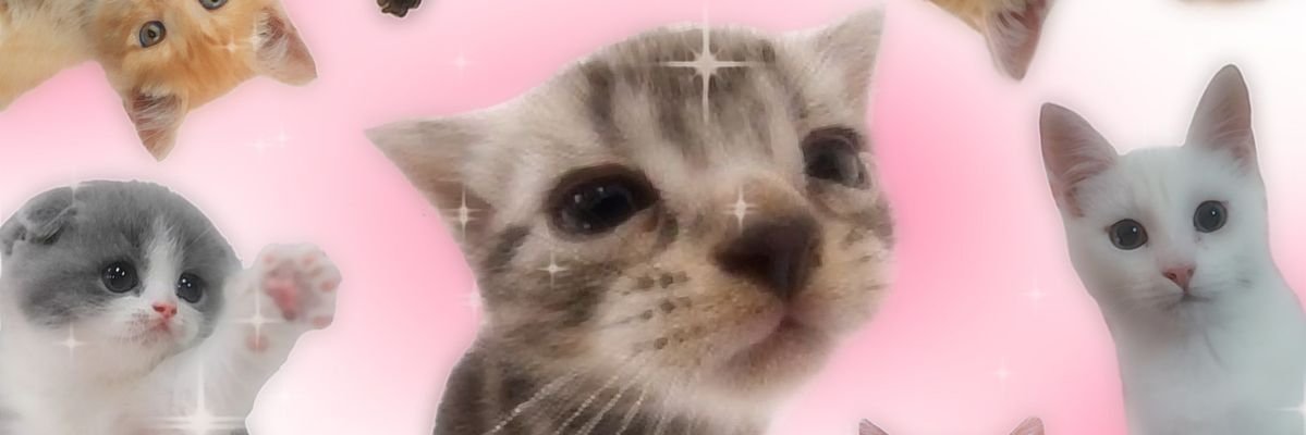 parapris's profile banner image
