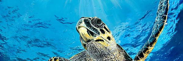 annareedfineart Profile Banner