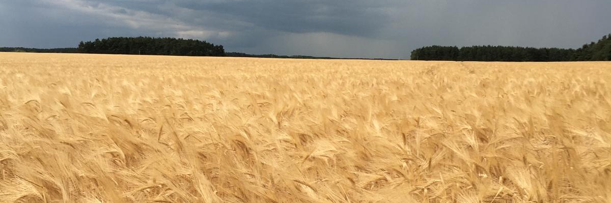 PrusakowskiS's profile banner image