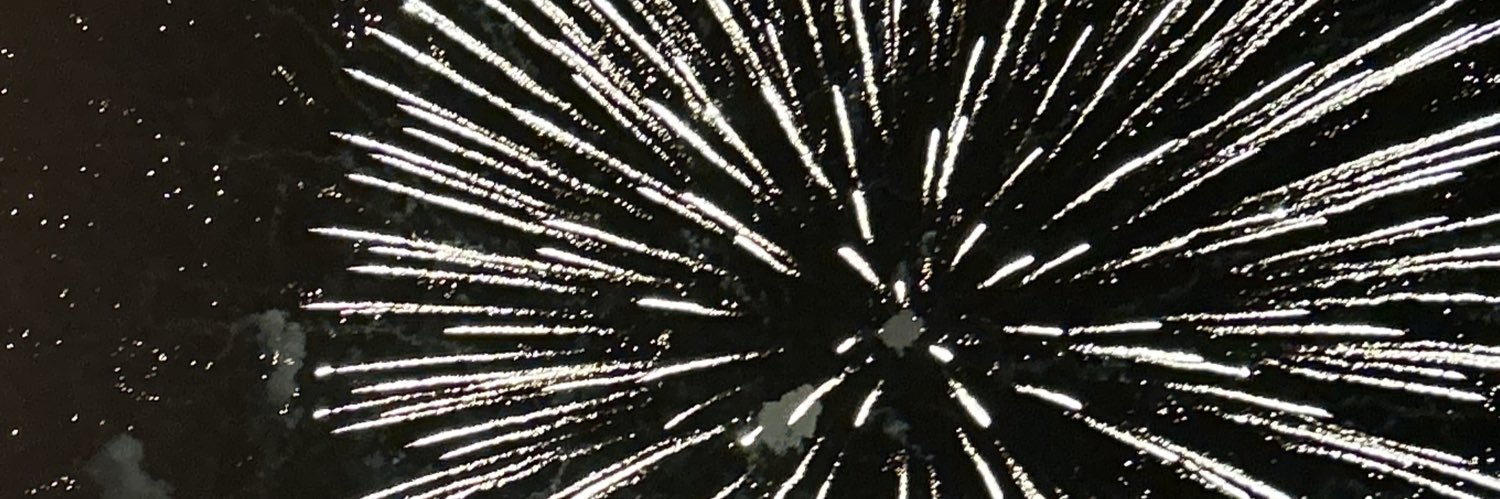 riri 𓆸⋆* banner