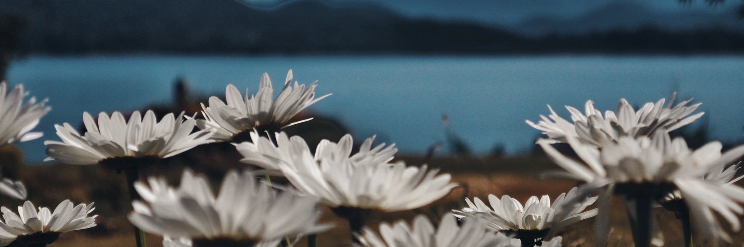 camiichinni's profile banner image