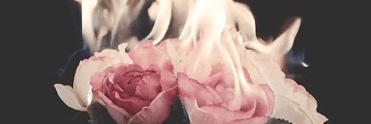 Ellajane2408's profile banner image