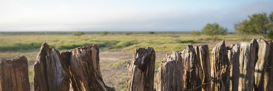 Veit Hailperin - @fpe@mastodon.social banner