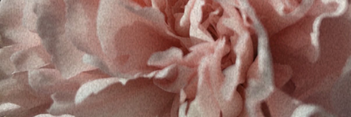 ahdrianaa's profile banner image