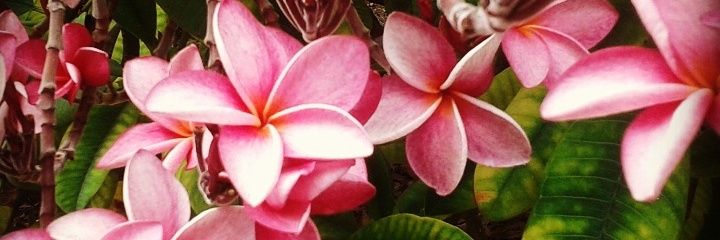 gitana74's profile banner image