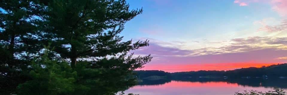 tessmwhiting's profile banner image
