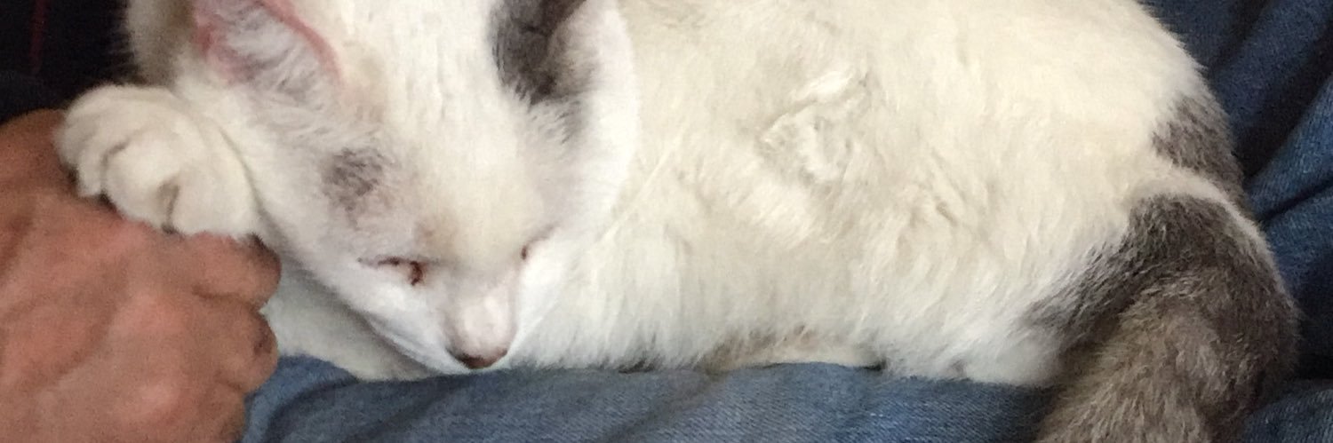 RodConter's profile banner image