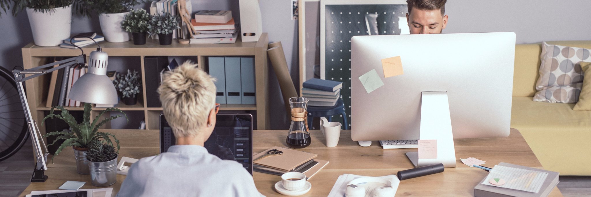 zSocialExpert's profile banner image