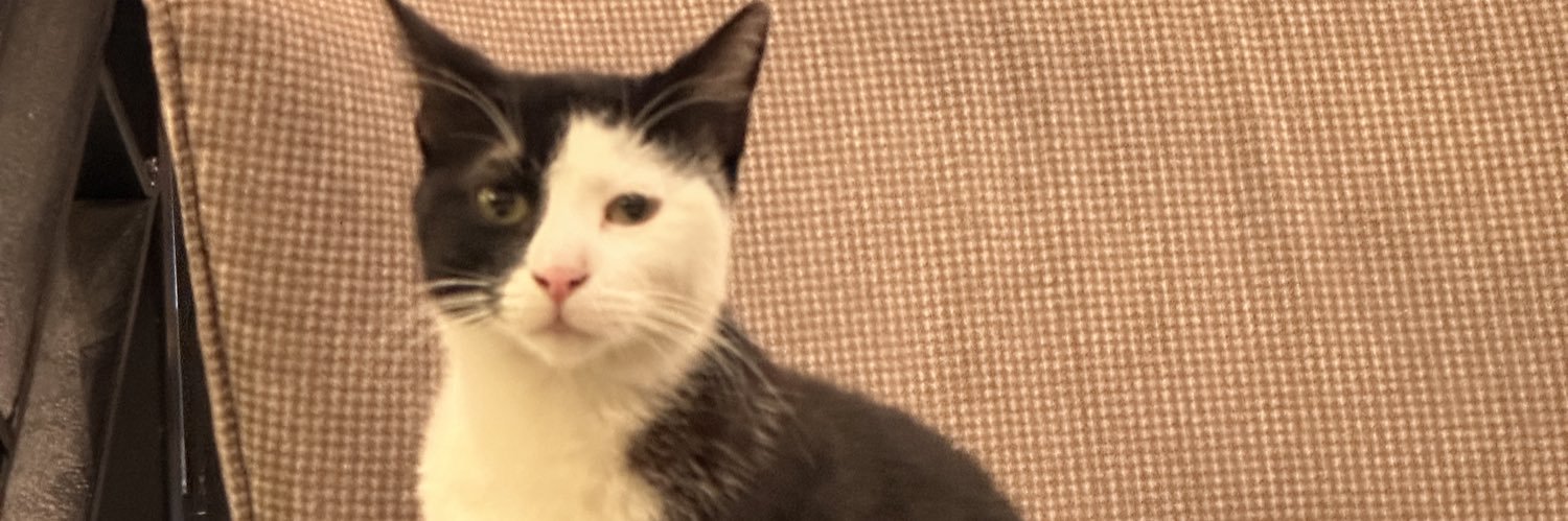 mtebessim's profile banner image
