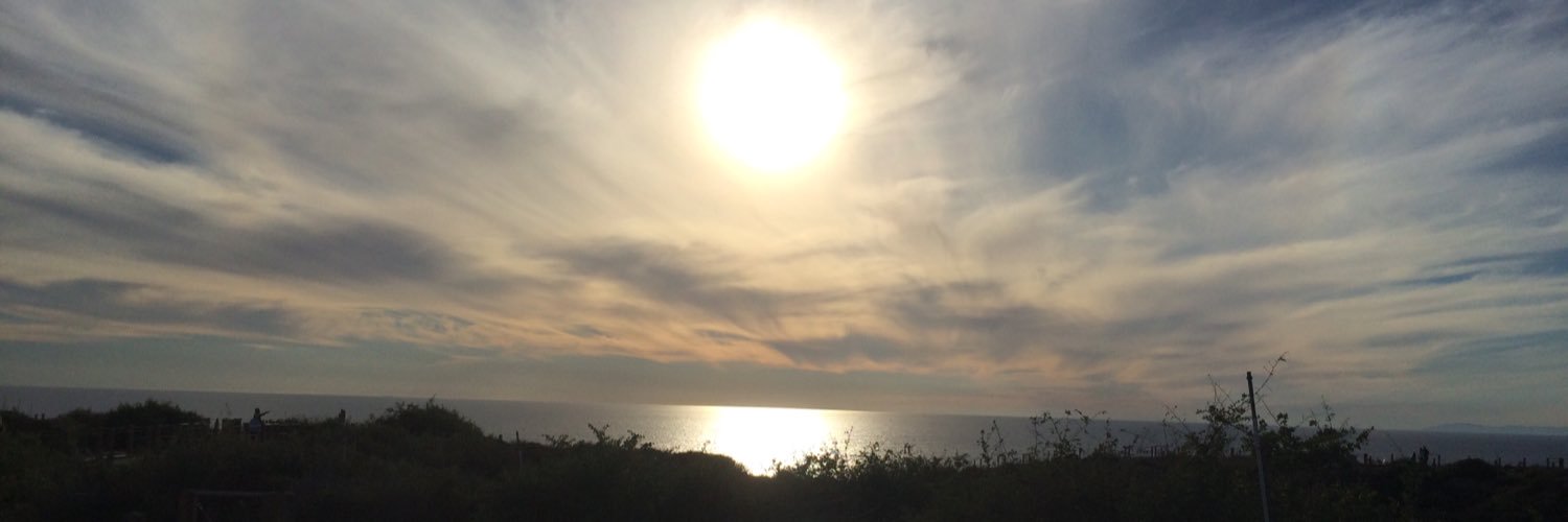 Sharonysim's profile banner image