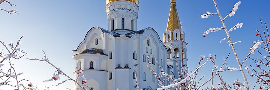 Vladimir Debevec 👑🍇🚁🇬🇩 banner