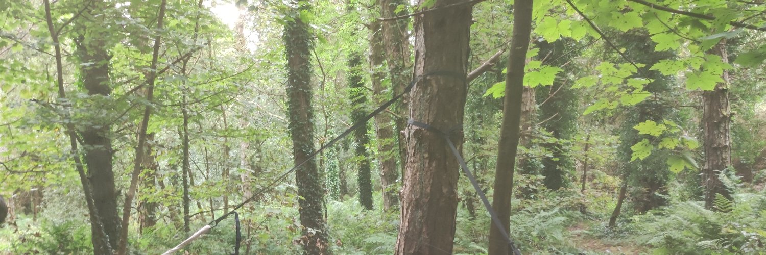 irishsid's profile banner image