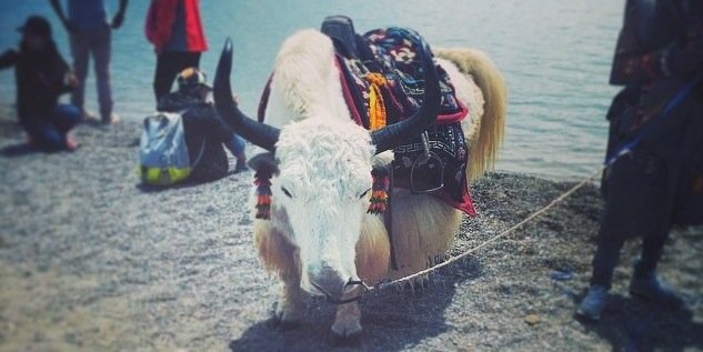 _WannaW_'s profile banner image