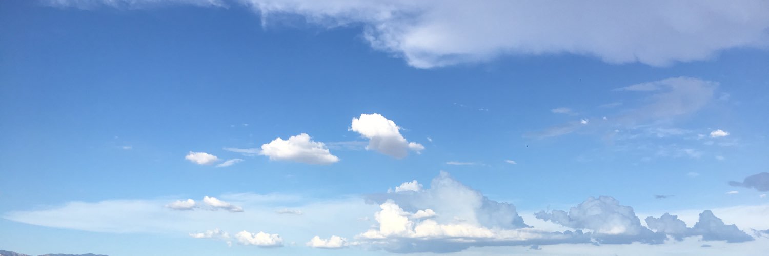 JustTheGoose's profile banner image
