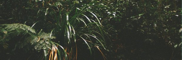 _EllaBrowning Profile Banner