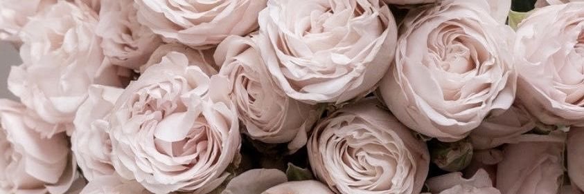 𝑀 banner