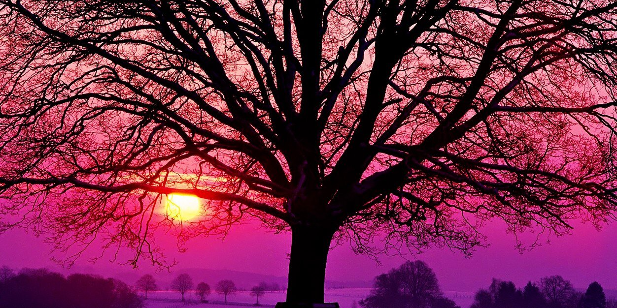 k_sarz's profile banner image