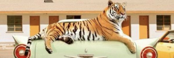 jillixr Profile Banner