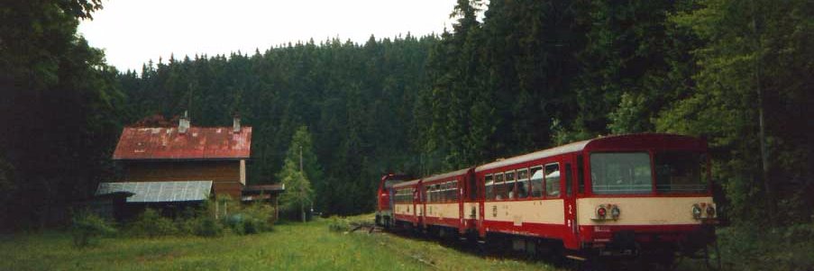 holle_sovice's profile banner image