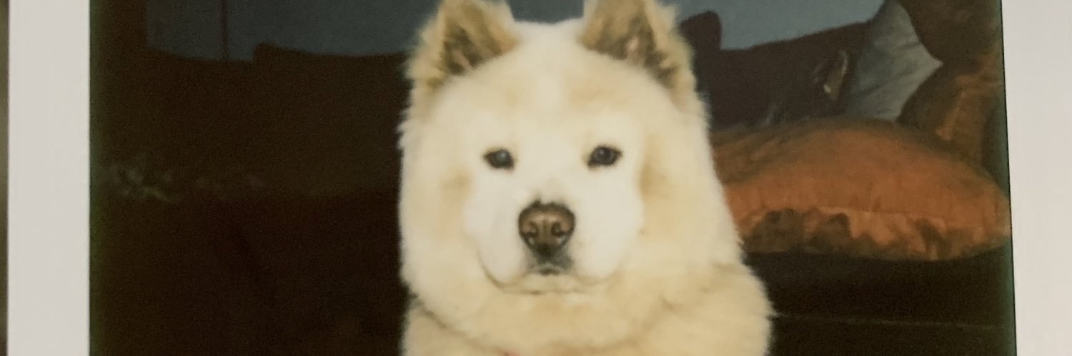 dannachavez_'s profile banner image