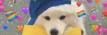 MikeTheBurdi sac:Burdy banner