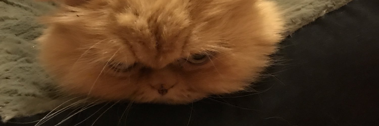 LFSONMEZ's profile banner image