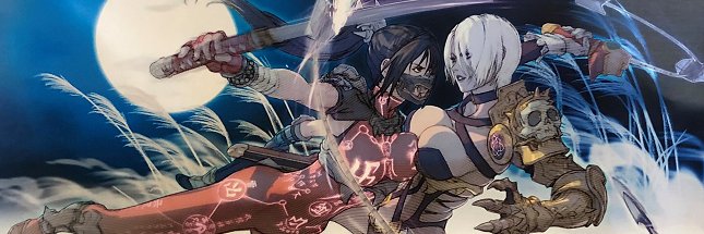 Sanox banner