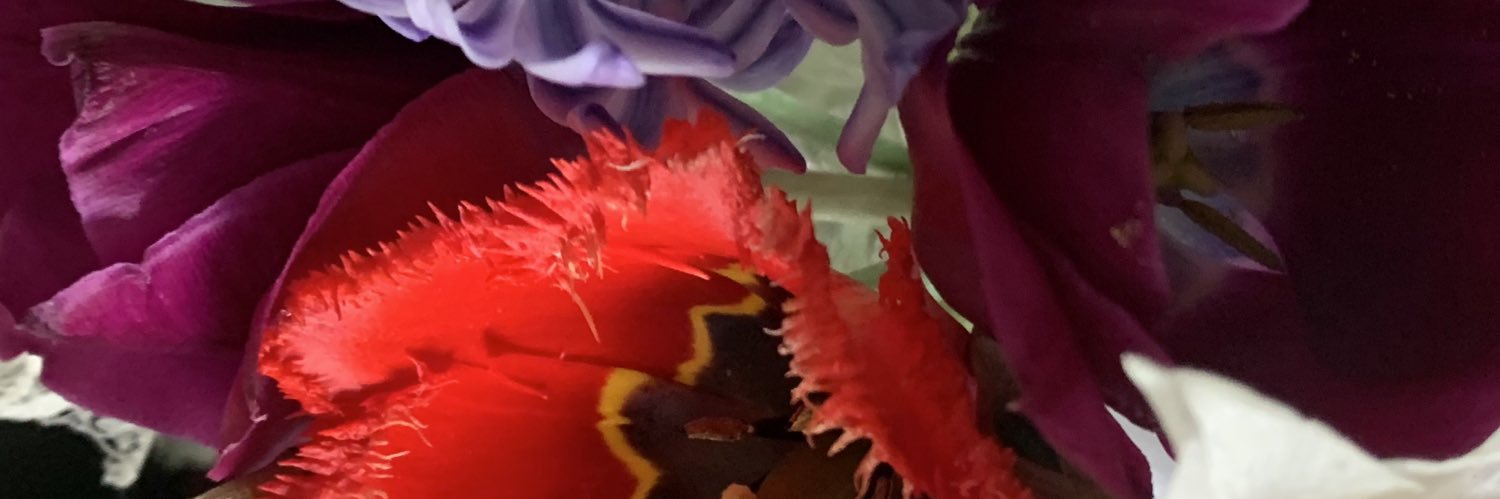 audrock's profile banner image
