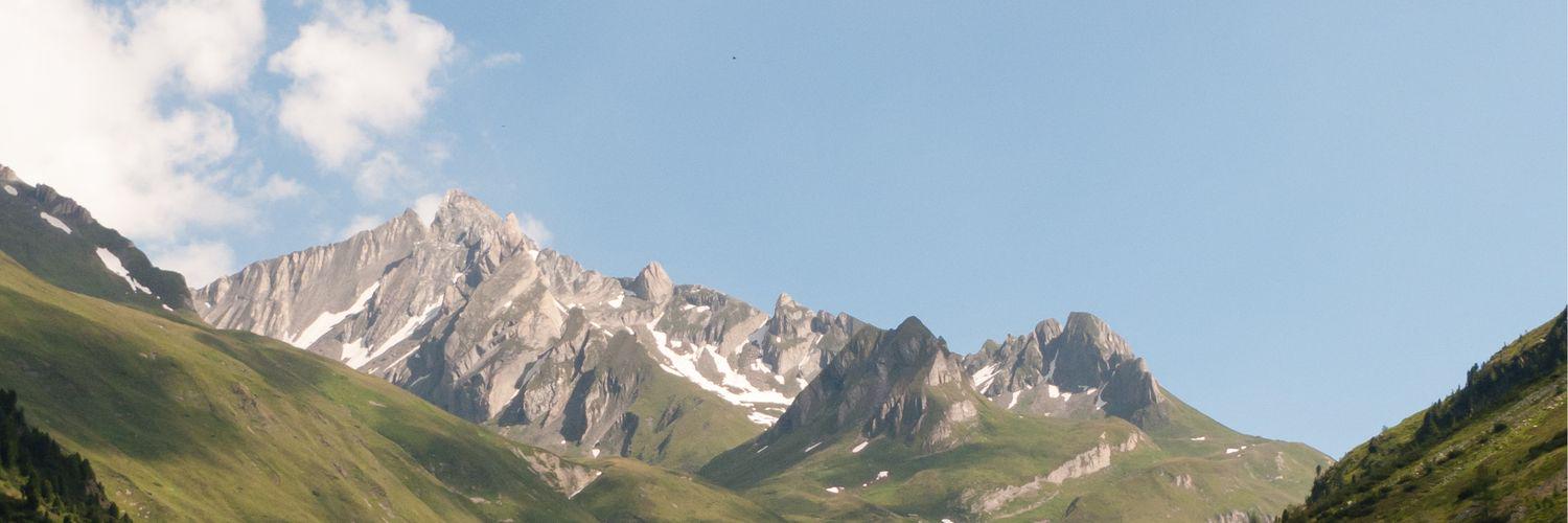 Nicholas Botti banner