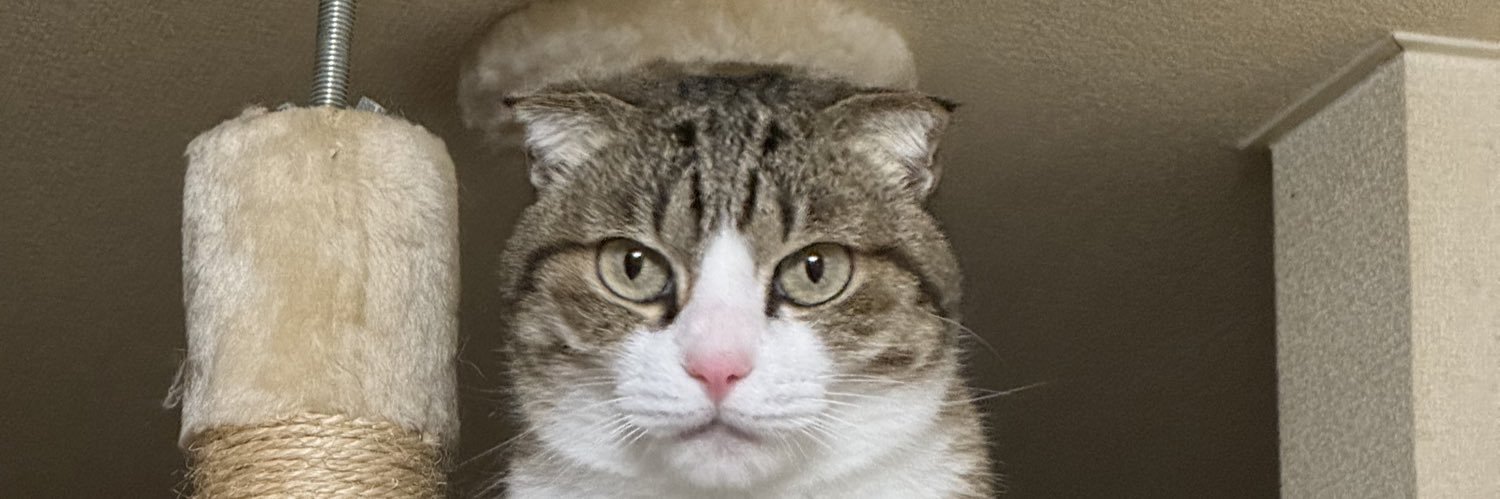 chromehigo's profile banner image