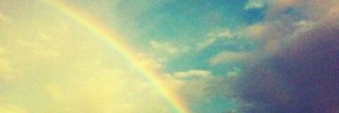 statice______ss's profile banner image