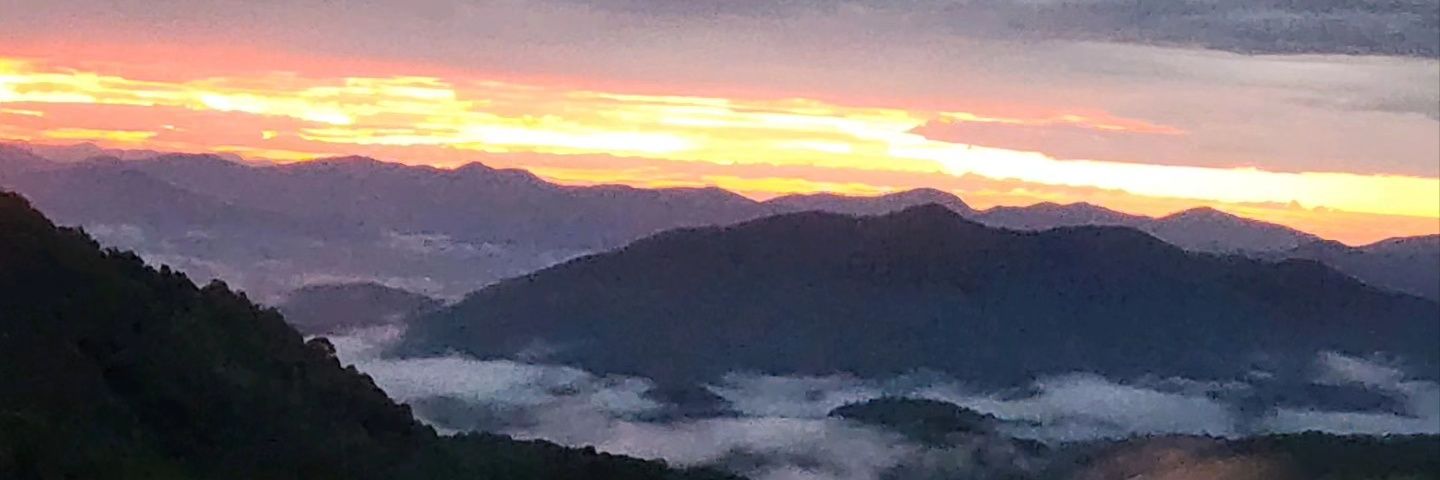 breezybee0721's profile banner image