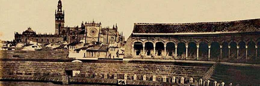 alliveSSevilla banner