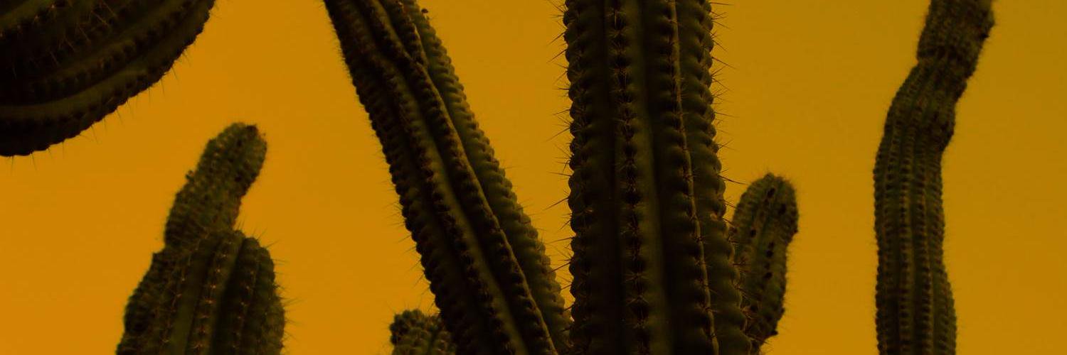 MaggieClareMess's profile banner image