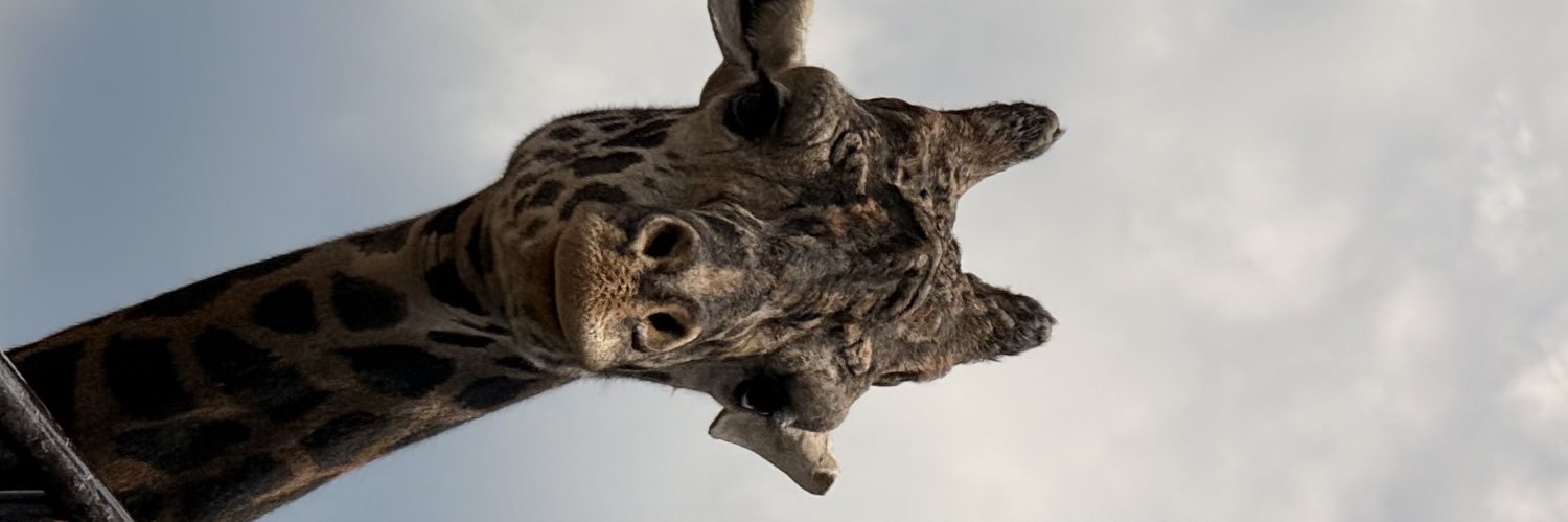 estefanhap's profile banner image