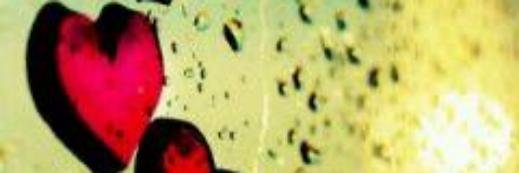 roxivaz001's profile banner image